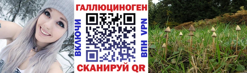 Галлюциногенные грибы прущие грибы  Купить где  Усть-Кут 